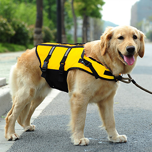 Dog Rain Coat Puppy Clothes Fashion Waterproof Outdoor Dog Clothes Puppy Clothes Dog Outfits Fluorescence Black Costume for Girl and Boy Dog Mixed Material 3XL 4XL 5XL 6XL
Dog Rain Coat Puppy Clothes Fashion Waterproof Outdoor Dog Clothes Puppy Clothes Dog Outfits Fluorescence Black Costume for Girl and Boy Dog Mixed Material 3XL 4XL 5XL 6XL