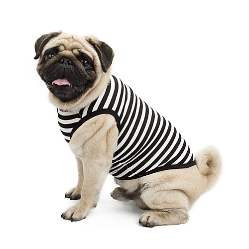 Cat Dog Shirt / T-Shirt Sweater Sweatshirt Stripes Fashion Classic Holiday Casual / Daily Sports Dog Clothes Puppy Clothes Dog Outfits Black Yellow Blue Costume for Girl and Boy Dog Cotton XS S M L
Cat Dog Shirt / T-Shirt Sweater Sweatshirt Stripes Fashion Classic Holiday Casual / Daily Sports Dog Clothes Puppy Clothes Dog Outfits Black Yellow Blue Costume for Girl and Boy Dog Cotton XS S M L