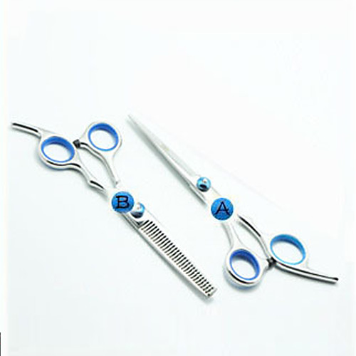 Scissors Stainless Steel Accessory Kits scissors Women / Pro 1pcs Daily New Silver
Scissors Stainless Steel Accessory Kits scissors Women / Pro 1pcs Daily New Silver