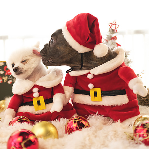 Cat Dog Costume Jumpsuit Christmas Cartoon Cosplay Christmas Winter Dog Clothes Puppy Clothes Dog Outfits Red Costume for Girl and Boy Dog Polar Fleece XS S M L XL
Cat Dog Costume Jumpsuit Christmas Cartoon Cosplay Christmas Winter Dog Clothes Puppy Clothes Dog Outfits Red Costume for Girl and Boy Dog Polar Fleece XS S M L XL