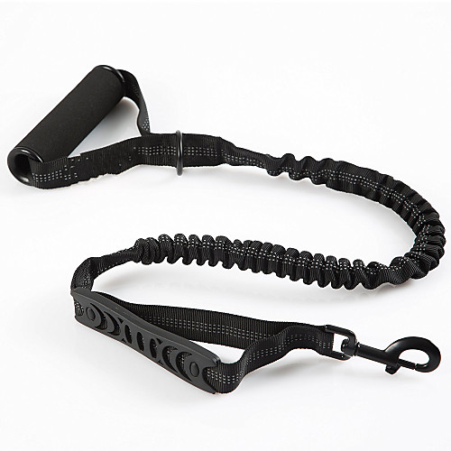 Dog Leash Running Leash Adjustable / Retractable Safety Hiking Walking Solid Colored Nylon Medium Dog Large Dog Black 1pc
Dog Leash Running Leash Adjustable / Retractable Safety Hiking Walking Solid Colored Nylon Medium Dog Large Dog Black 1pc