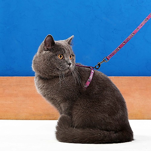 Cat Harness Leash Adjustable / Retractable Cartoon Nylon Rainbow Purple 
Cat Harness Leash Adjustable / Retractable Cartoon Nylon Rainbow Purple