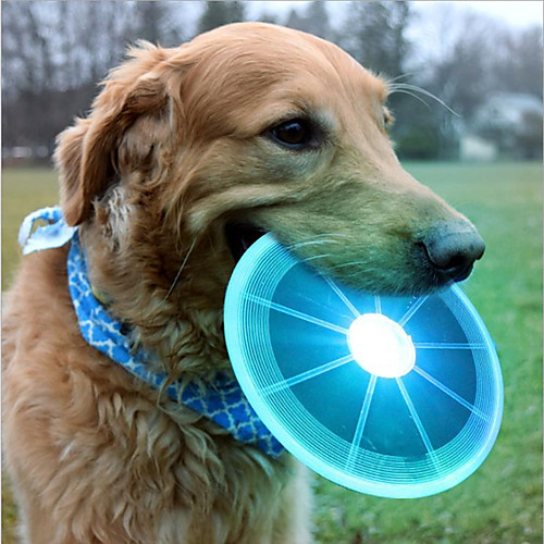Dog Play Toy Flying Disc Dog Pets 1pc Pet Friendly Sparkling with LED Light ABS Gift Pet Toy Pet Play
Dog Play Toy Flying Disc Dog Pets 1pc Pet Friendly Sparkling with LED Light ABS Gift Pet Toy Pet Play