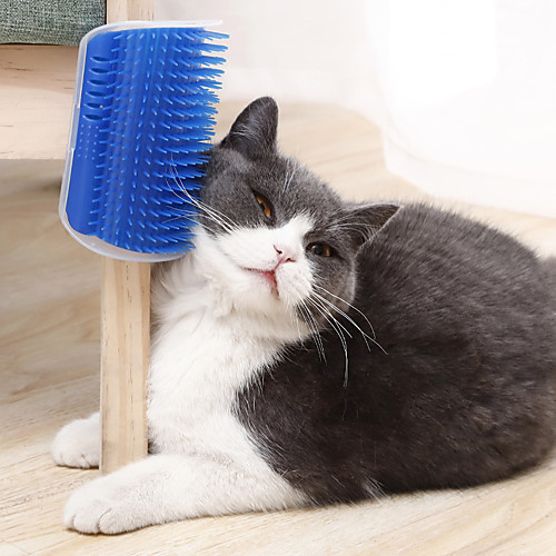 Cat Brushes Cleaning Plastic Dog Clean Supply Massage Pet Grooming Supplies Pink Blue Gray
Cat Brushes Cleaning Plastic Dog Clean Supply Massage Pet Grooming Supplies Pink Blue Gray