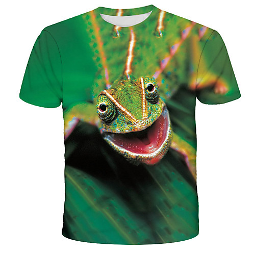 Men's Graphic Animal Print T-shirt Street chic Exaggerated Daily Holiday Green
Men's Graphic Animal Print T-shirt Street chic Exaggerated Daily Holiday Green