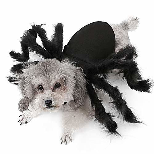 halloween pet spider costume, black spider claws dog cosplay clothing fanny doggie party dress up accessories for cat small dogs kitten puppy doggy cosplay apparel
halloween pet spider costume, black spider claws dog cosplay clothing fanny doggie party dress up accessories for cat small dogs kitten puppy doggy cosplay apparel