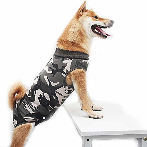 dog surgery recovery suit, pet four-legs jumpsuit stripe camouflage post-operative vest shirt for small meidum large dog (xxxl, camouflage)
dog surgery recovery suit, pet four-legs jumpsuit stripe camouflage post-operative vest shirt for small meidum large dog (xxxl, camouflage)