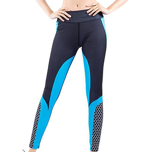 Women's Sporty Yoga Breathable Slim Daily Sweatpants Pants Multi Color Ankle-Length High Waist Black Blue Purple
Women's Sporty Yoga Breathable Slim Daily Sweatpants Pants Multi Color Ankle-Length High Waist Black Blue Purple