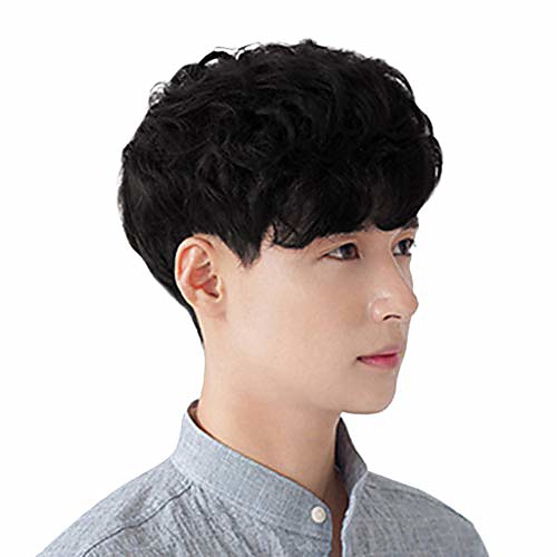 autumnfall fashion 4 inches synthetic short wigs for men wig man male brown black wig (a)
autumnfall fashion 4 inches synthetic short wigs for men wig man male brown black wig (a)