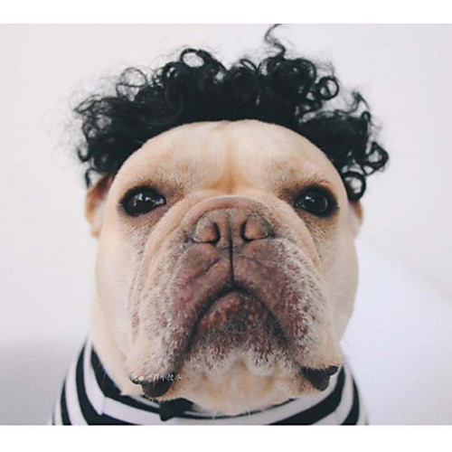 dog halloween costume christmas costume pet party cosplay apparel outfit clothing with wig (wig)
dog halloween costume christmas costume pet party cosplay apparel outfit clothing with wig (wig)