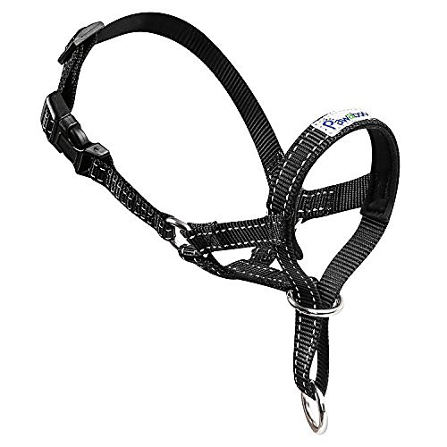 dog head halter, pet dog nylon reflective adjustable loop bite bark control easy fit dog head halter, medium size, black
dog head halter, pet dog nylon reflective adjustable loop bite bark control easy fit dog head halter, medium size, black
