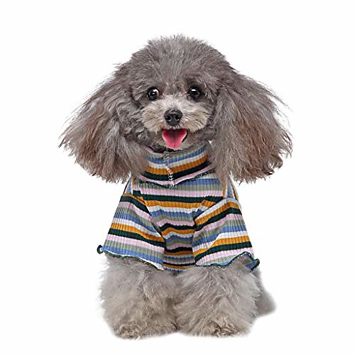 dog t shirt pet cute rainbow striped shirt puppy turtleneck sweater clothes small dog cat winter outfits (s, green)
dog t shirt pet cute rainbow striped shirt puppy turtleneck sweater clothes small dog cat winter outfits (s, green)