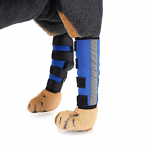 xili pet kneepad dog leggings dog legs pet protector dog surgical injury boots
xili pet kneepad dog leggings dog legs pet protector dog surgical injury boots