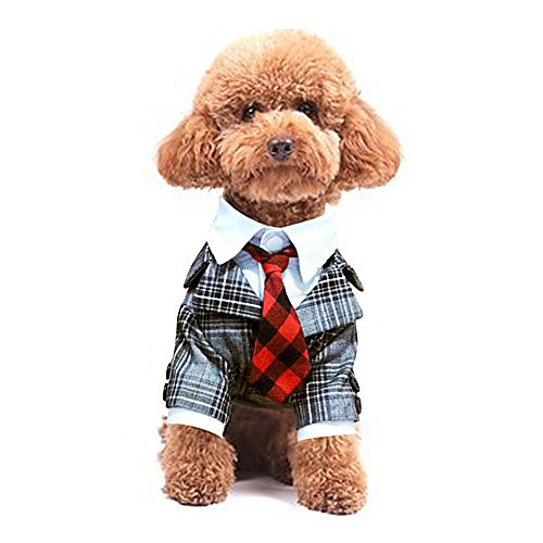 dog costume suit and tie plaid leopard print clothes for wedding party puppy and cat (leopard print, m)
dog costume suit and tie plaid leopard print clothes for wedding party puppy and cat (leopard print, m)