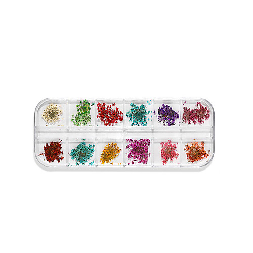 Nail Art Dried Flower Nail Immortal 3D Three-dimensional Lace Flower Hydrangea Narcissus Zou Chrysanthemum Set Lovely Flower Nail Beauty 3D Decoration Tool Nail Sticker for Manicure
Nail Art Dried Flower Nail Immortal 3D Three-dimensional Lace Flower Hydrangea Narcissus Zou Chrysanthemum Set Lovely Flower Nail Beauty 3D Decoration Tool Nail Sticker for Manicure