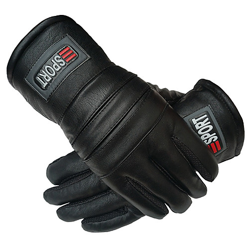 Winter Bike Gloves / Cycling Gloves Wearable Skiing Heat Retaining Full Finger Gloves Sports Gloves Black for Adults Road Cycling Cycling / Bike
Winter Bike Gloves / Cycling Gloves Wearable Skiing Heat Retaining Full Finger Gloves Sports Gloves Black for Adults Road Cycling Cycling / Bike