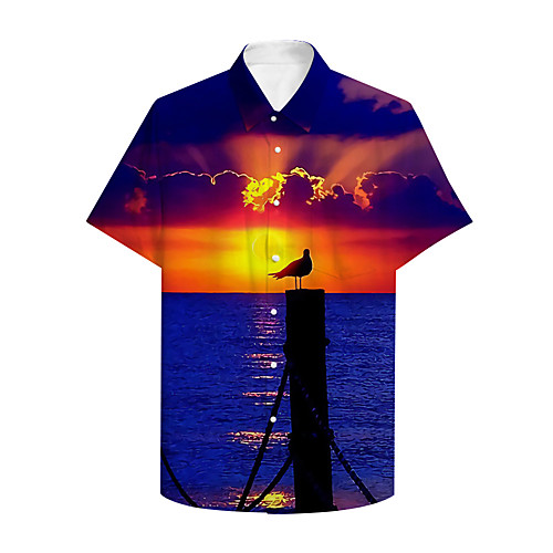 Men's Shirt 3D Print Graphic Scenery Print Short Sleeve Daily Tops Basic Casual Blue
Men's Shirt 3D Print Graphic Scenery Print Short Sleeve Daily Tops Basic Casual Blue
