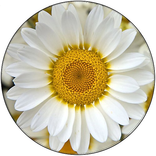 Modern Round Rug Floor Mat Non Slip Absorbent Carpet Yoga Rug for Entryway Bedroom Living Room Sofa Home Decor
Modern Round Rug Floor Mat Non Slip Absorbent Carpet Yoga Rug for Entryway Bedroom Living Room Sofa Home Decor