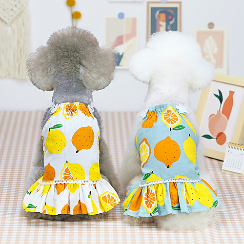 Dog Cat Dress Vest Fruit Basic Adorable Cute Dailywear Casual / Daily Dog Clothes Puppy Clothes Dog Outfits Breathable 21 Lemon Skirt-White 21 Lemon Skirt-Blue Gray Costume for Girl and Boy Dog Cotton
Dog Cat Dress Vest Fruit Basic Adorable Cute Dailywear Casual / Daily Dog Clothes Puppy Clothes Dog Outfits Breathable 21 Lemon Skirt-White 21 Lemon Skirt-Blue Gray Costume for Girl and Boy Dog Cotton