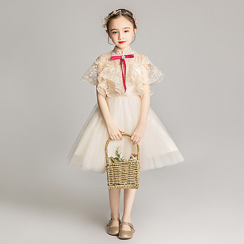 Princess Short / Mini Wedding / Event / Party Flower Girl Dresses - Tulle Short Sleeve High Neck with Bow(s) / Buttons / Embroidery
Princess Short / Mini Wedding / Event / Party Flower Girl Dresses - Tulle Short Sleeve High Neck with Bow(s) / Buttons / Embroidery