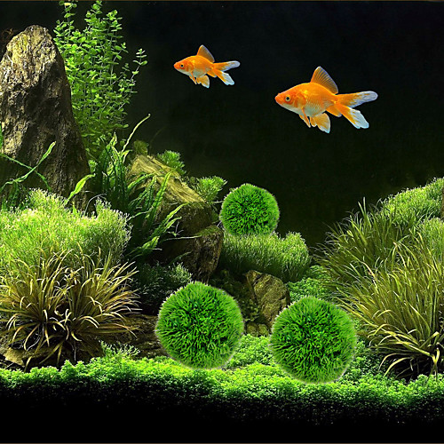 Fish Tank Aquarium Decoration Fish Bowl Waterplant Decoration Plastic 1 Piece 10.510.5 cm
Fish Tank Aquarium Decoration Fish Bowl Waterplant Decoration Plastic 1 Piece 10.510.5 cm