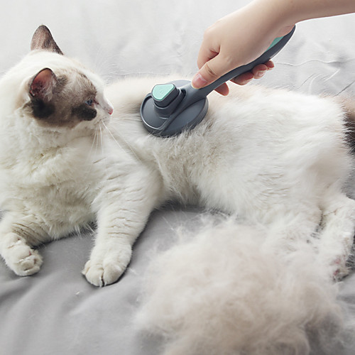 Dog Cat Brushes Grooming Cleaning Plastic Comb Dog Clean Supply Pet Hair Remover Adjustable Flexible Durable Easy to Use Pet Grooming Supplies Pink Green Gray
Dog Cat Brushes Grooming Cleaning Plastic Comb Dog Clean Supply Pet Hair Remover Adjustable Flexible Durable Easy to Use Pet Grooming Supplies Pink Green Gray