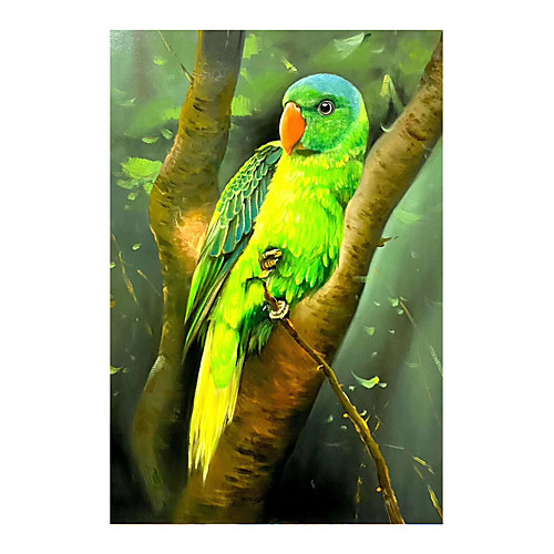 

IARTS Hand Painted parrot Oil Painting with Stretched Frame For Home Decoration