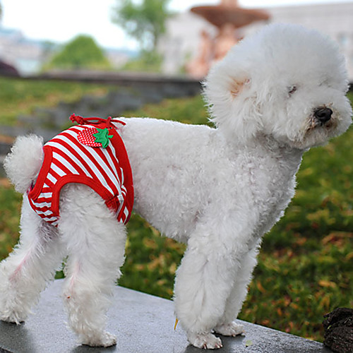Dog Pants Fruit Stripes Dailywear Dog Clothes Puppy Clothes Dog Outfits Soft Red and White Costume for Girl and Boy Dog Cotton L XL
Dog Pants Fruit Stripes Dailywear Dog Clothes Puppy Clothes Dog Outfits Soft Red and White Costume for Girl and Boy Dog Cotton L XL