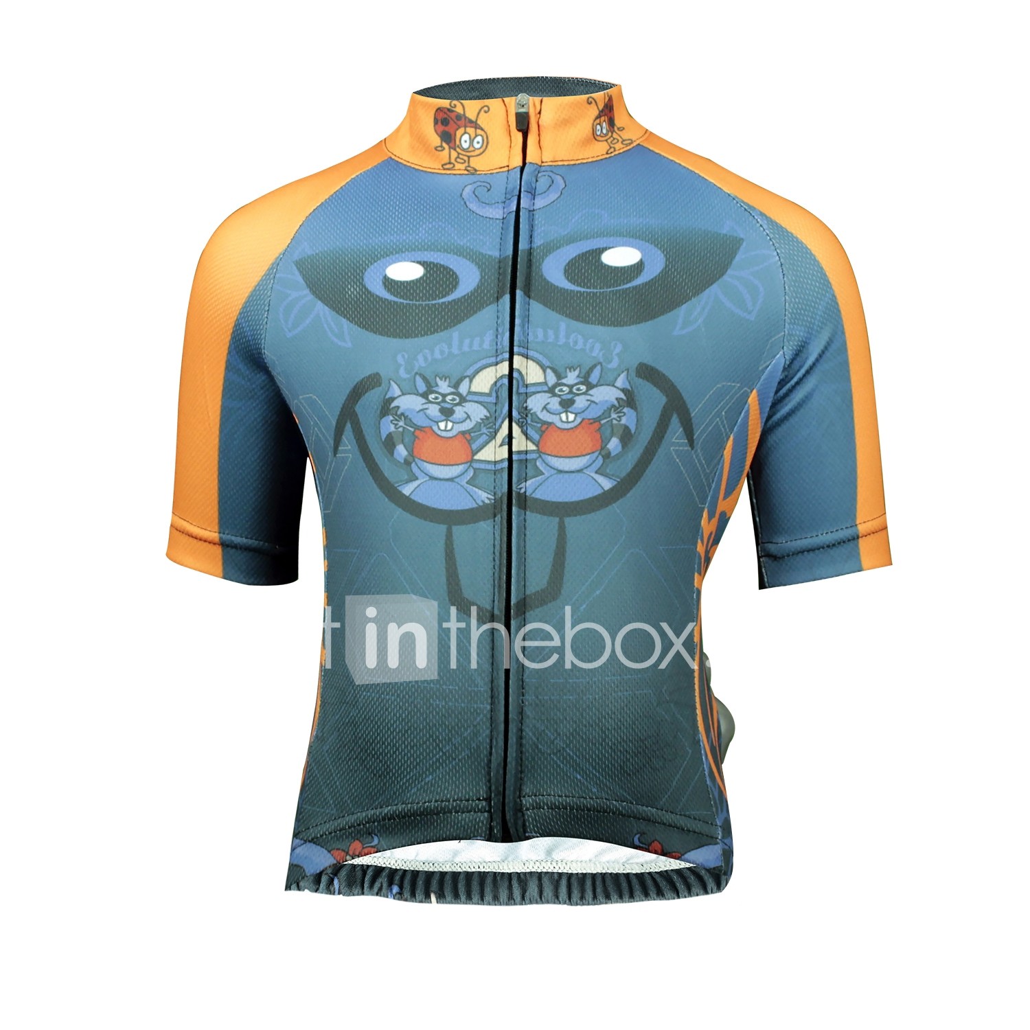 ilpaladino cycling jersey