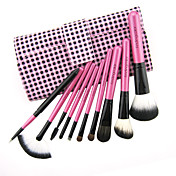 Color Shine-High Quality Wool Brush Set(10pcs)