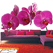 Pink Orchid Floral Nature Mural