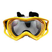Outdoor Stylish Skiing Goggles with Transparent Lens