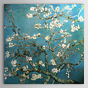 Hand-painted Almond Branches in Bloom,San Remy,c.1890 Oil Painting by Vincent Van Gogh with Stretched Frame