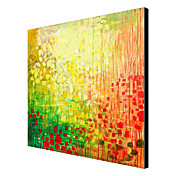 Hand Painted Oil Painting Abstract 1305-AB0641