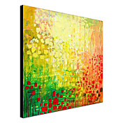 Hand Painted Oil Painting Abstract 1305-AB0641