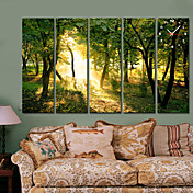  Modern Style Green Forest Wall Clock in Canvas 5pcs