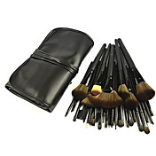 Color Shine 32 Loaded Brushes