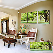 Stretched Canvas Art Landscape Green Tree Set of 3