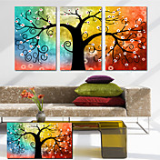 Stretched Canvas Art Botanical the Lucky Tree Set of 3
