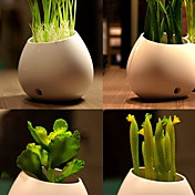 Plants Night Lights(Style Sent Random)