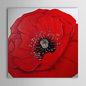 Hand Painted Oil Painting Floral Blossom with Stretched Frame 1309-FL0925