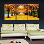 MX Hand-Painted Oil Painting Golden Road With Stretched Frame Set of 3-9154