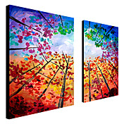 Hand Painted Oil Painting Floral with Stretched Frame Set of 2 1309-FL0886