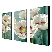 Hand Painted Oil Painting Floral with Stretched Frame Set of 3 1309C-FL0858