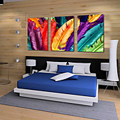 Stretched Canvas Art Still Life Colorful Feathers Set of 3