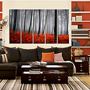 Stretched Canvas Art Landscape Misty Morning Set of 5