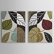 Stretched Canvas Art Botanical Leaf Story by Color Bakery Set of 2