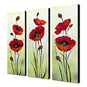 Hand Painted Oil Painting Floral Red Flower with Stretched Frame Set of 3