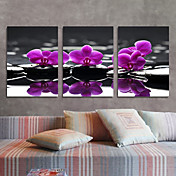 Stretched Canvas Art Floral Purple Orchid Set of 3
