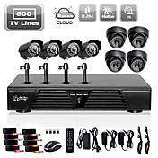 Liview® Full D1 8CH DVR and  Outdoor/Indoor 600 TVLine Camera System